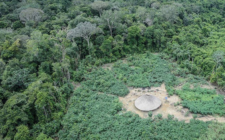 Autoridades peruanas apreendem quase 4 mil filhotes de tartarugas que seriam traficados na Indonésia