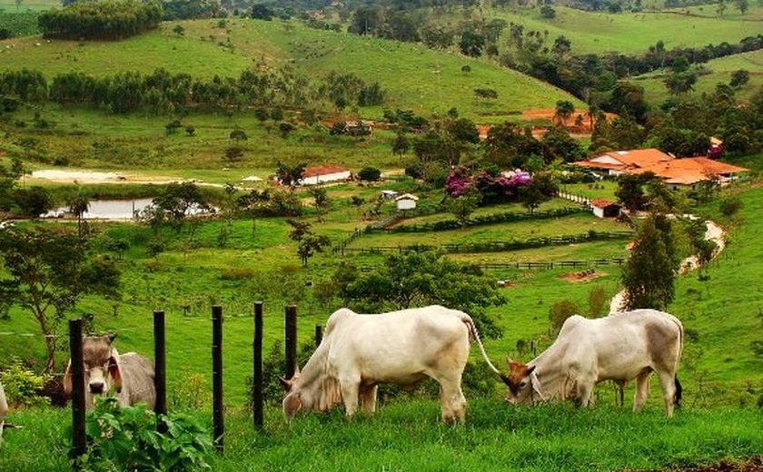 Agricultura e Meio Ambiente discutem Cadastro Ambiental Rural