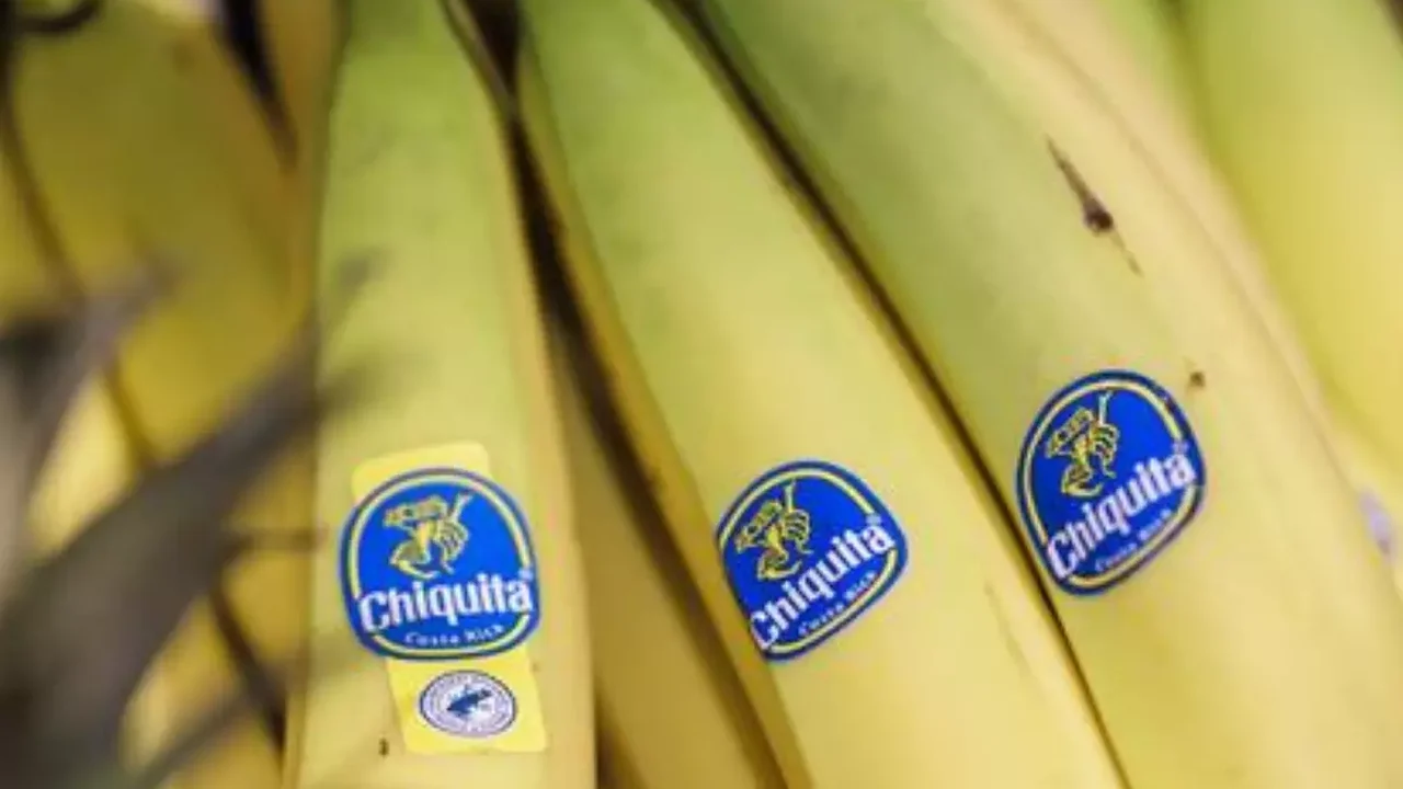 Chiquita Brands é condenada por financiar grupo paramilitar AUC da Colômbia