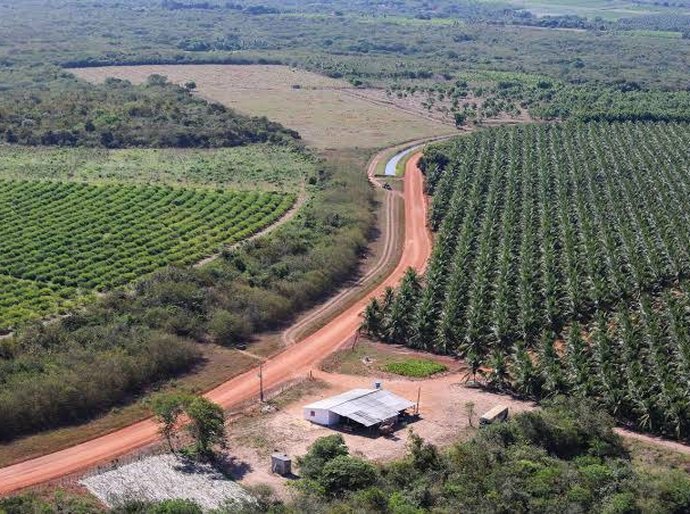MIDR atualiza regras para reconhecimento dos Polos de Agricultura Irrigada