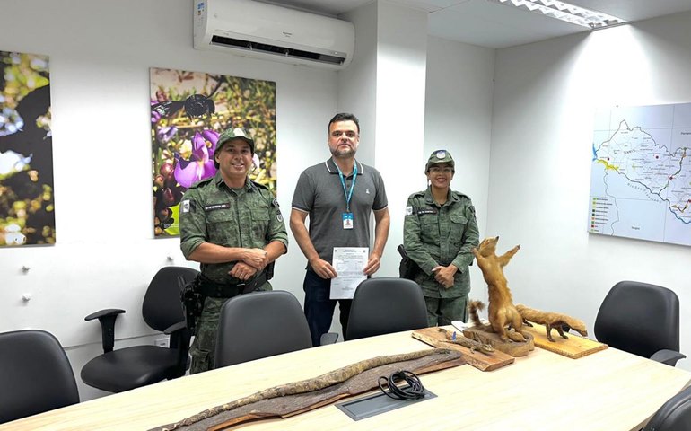 Instituto do Meio Ambiente recebe doação de animais empalhados do Batalhão de Polícia Ambiental