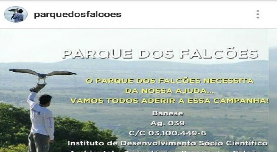 campanha parque dos falcões