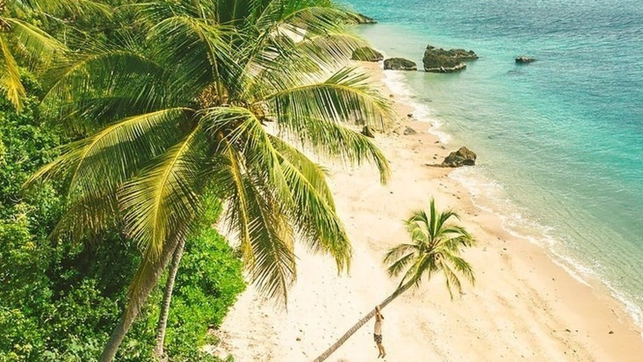 Essa ilha paradisíaca na Austrália recebe apenas 400 turistas por vez; entenda o porquê