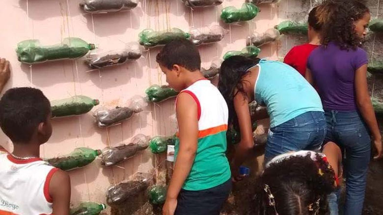 Alunos aprendem a fazer horta suspensa em Maragogi
