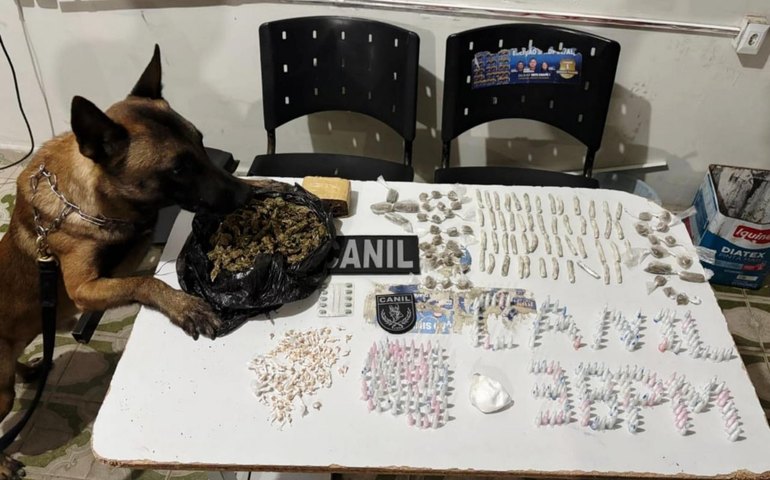 PM apreende arma e drogas no Agreste alagoano