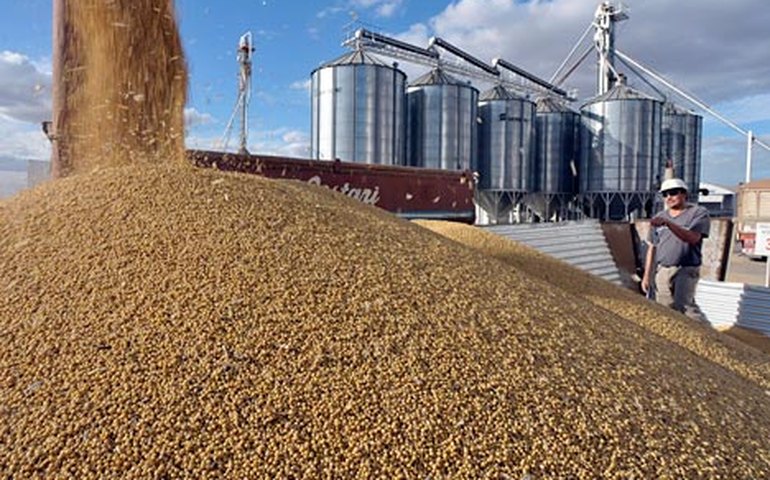 Capacidade de armazenamento agrícola teve retração, diz IBGE