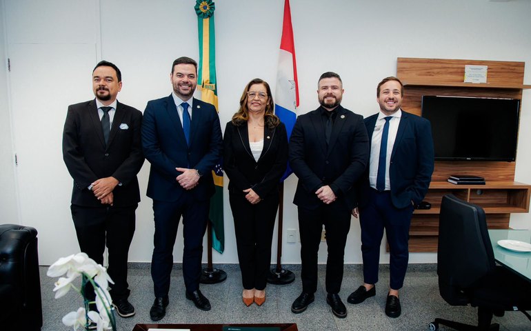 Vereadores têm reunião com a senadora Eudócia Caldas em Brasília