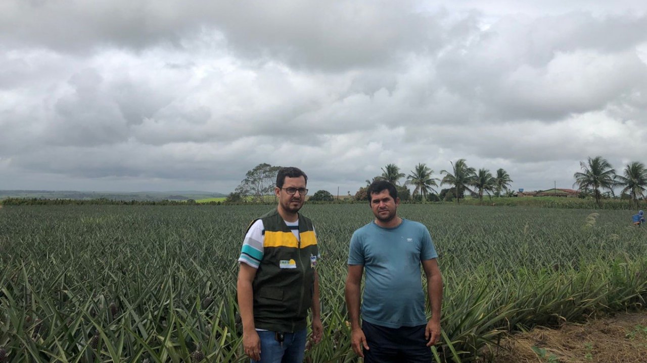 Por meio da diversificação agrícola, agricultor aumenta renda anual em quase 80%