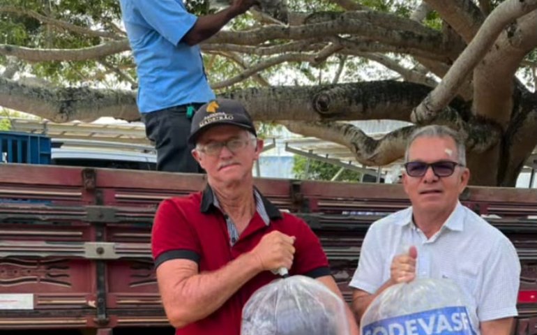 Prefeitura de Arapiraca distribui 30 mil alevinos em parceria com a Codevasf