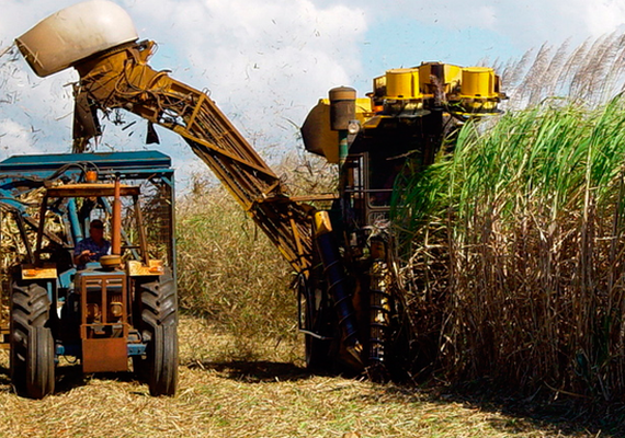 Alagoas registra 3,4 mil acidentes de trabalho em 2022