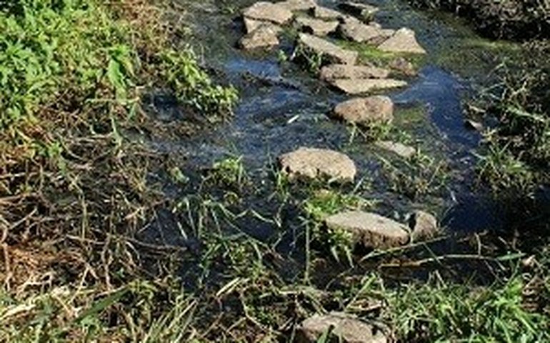 Esgoto sem tratamento é despejado no Rio São Francisco em Piranhas