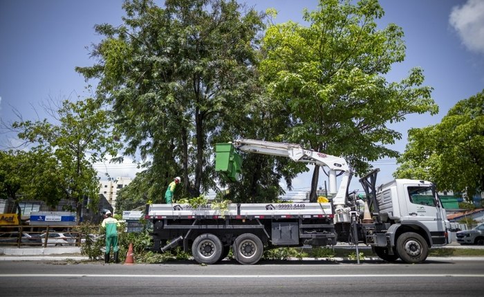Em três meses, mais de 2.800 ações de poda e supressão de árvores foram efetuadas em Maceió