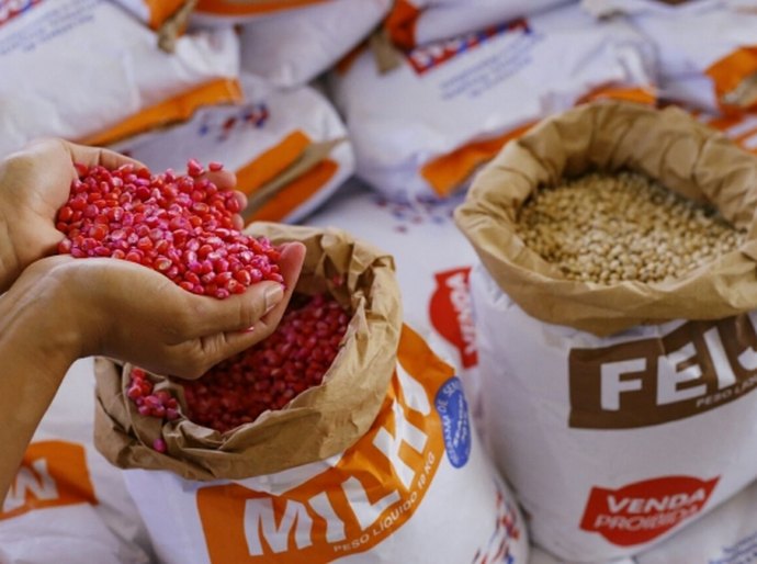 Conselho de Agricultura Familiar aprova regulação de sementes