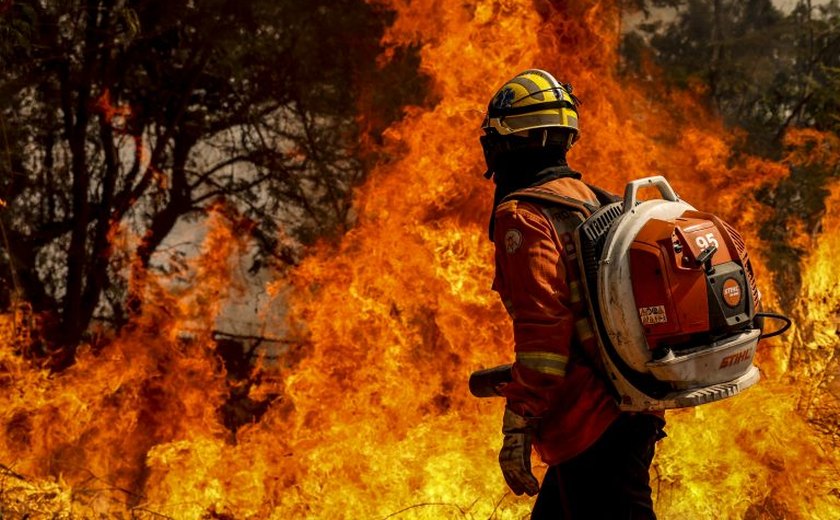 Cancelado debate sobre impacto dos incêndios florestais na emissão de carbono