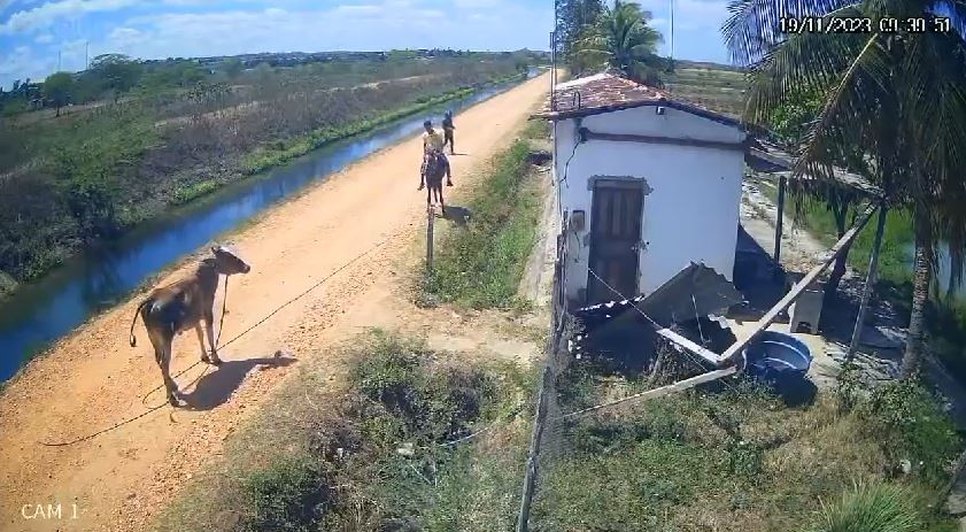 Três homens são presos por furto de gado e venda de carne imprópria para consumo em Sergipe
