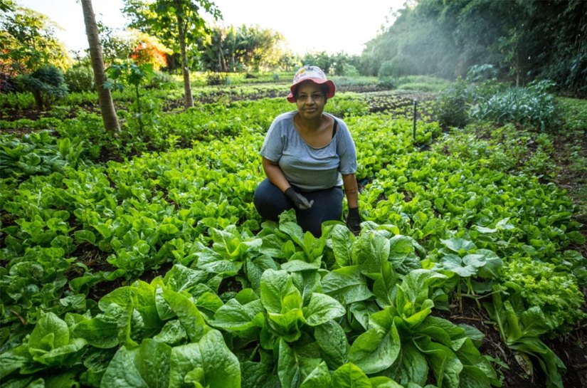 Sessão especial da ALE debate benefícios da agroecologia em Alagoas