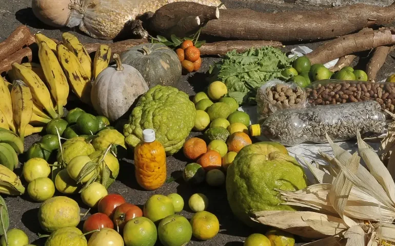 Empréstimo do BNDES para o Plano Safra será recorde de R$ 70 bilhões