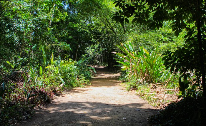 Trilha Ecológica no Parque Municipal