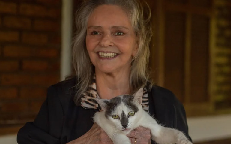 De Zizi Possi a namorada secreta: relembre os amores de Angela Ro Ro