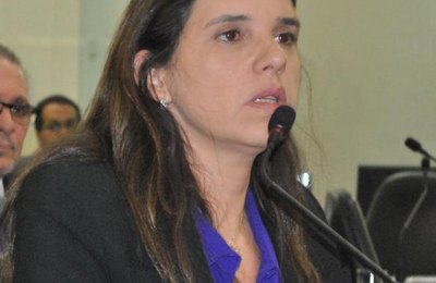 Na Assembleia Legislativa, renovação é de quase 50%