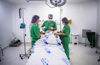 Hospital da Cidade devolve qualidade de vida a crianças com cirurgias otorrinolaringológicas