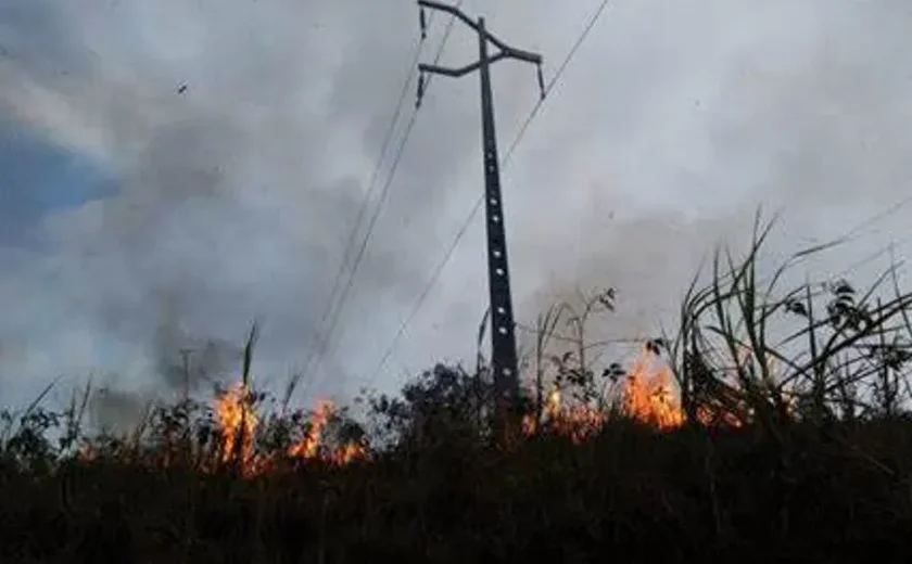 Queimadas deixam mais de 165 mil clientes sem energia em Alagoas