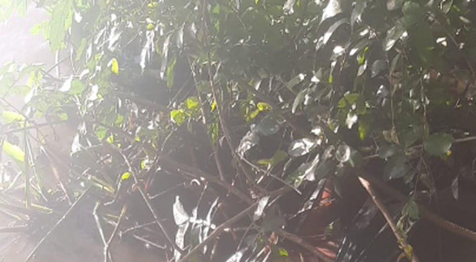 Suspeito de matar e enrolar madrasta com saco plástico em Brejo Grande é preso