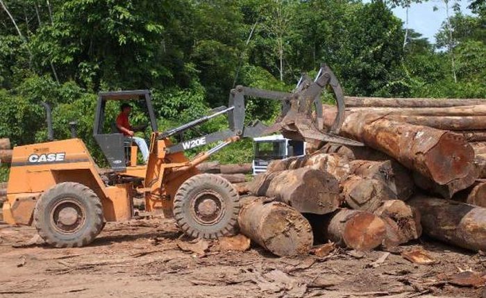 Entre agosto de 2015 e julho 2016 houve aumento de 29% do desmatamento na região amazônica - Arquivo/Agência Brasil