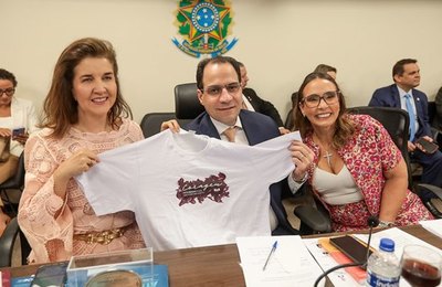 Participação feminina na advocacia mobiliza decisões e ações do Conselho Federal em março