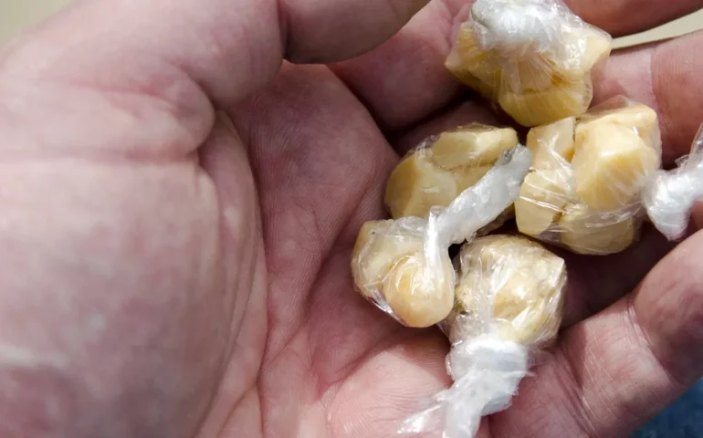 Operação com cão farejador localiza esconderijo de crack e maconha em Arapiraca