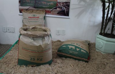 Levedura Pindorama começa a ser comercializada no mercado interno 