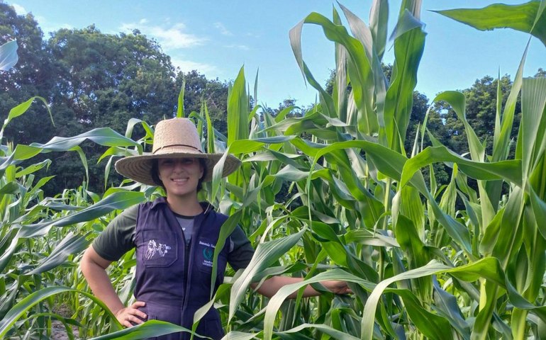 Estudantes de veterinária aprendem com cultivo de sementes do Planta Alagoas