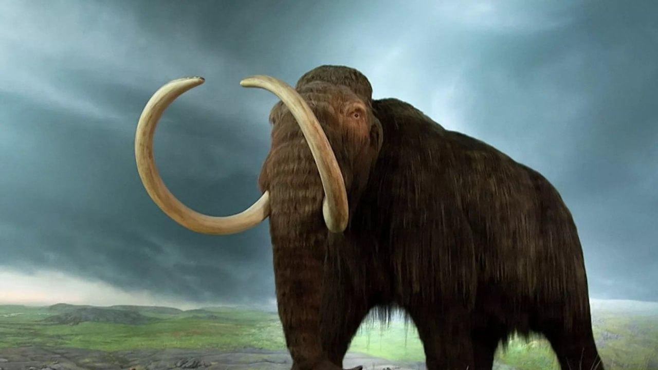 Artistas da Idade do Gelo usaram padrões naturais das presas de mamute em sua arte