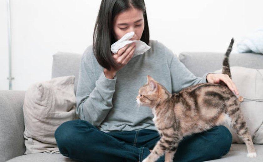 Como lidar com seu pet e manter um ambiente saudável para