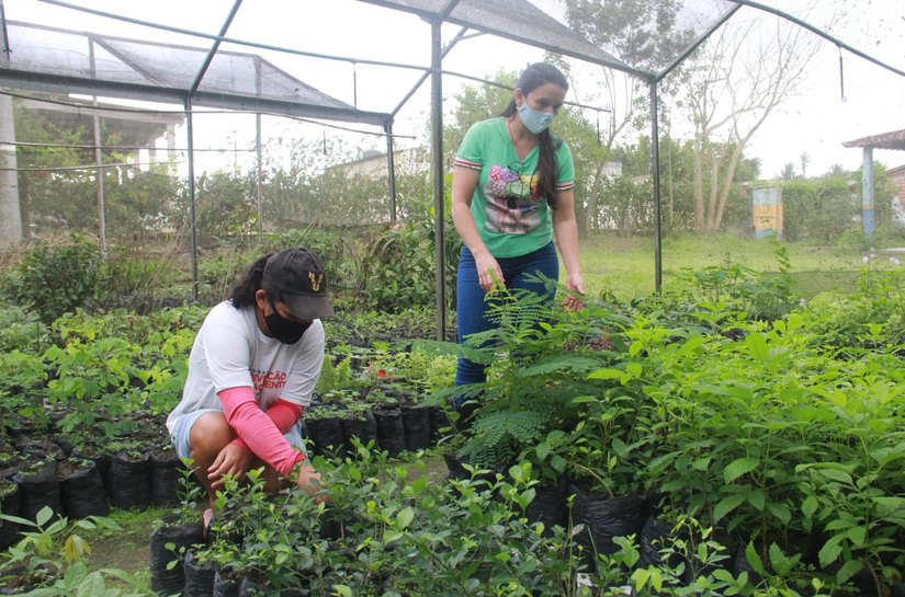 Projeto Amanhã colhe seus primeiros frutos e destina alimentos aos abrigos de Arapiraca
