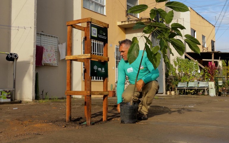Um mês após o lançamento, Calçada Verde já atendeu nove bairros de Maceió