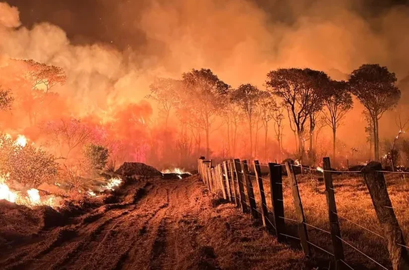 Número de incêndios aumentam mais de 1000% no Pantanal