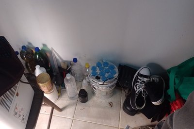 Polícia Civil estoura laboratório usado para cultivo, refinamento de maconha e produção de haxixe em Maceió