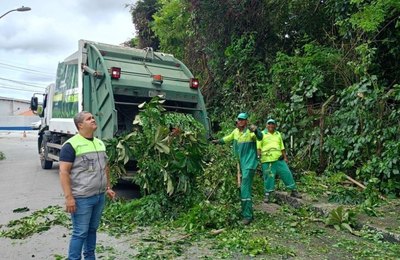 Alurb realiza intervenções em árvores no bairro da Gruta de Lourdes