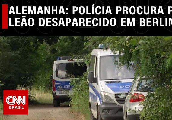 Polícia alemã procura por leão que circula em Berlim