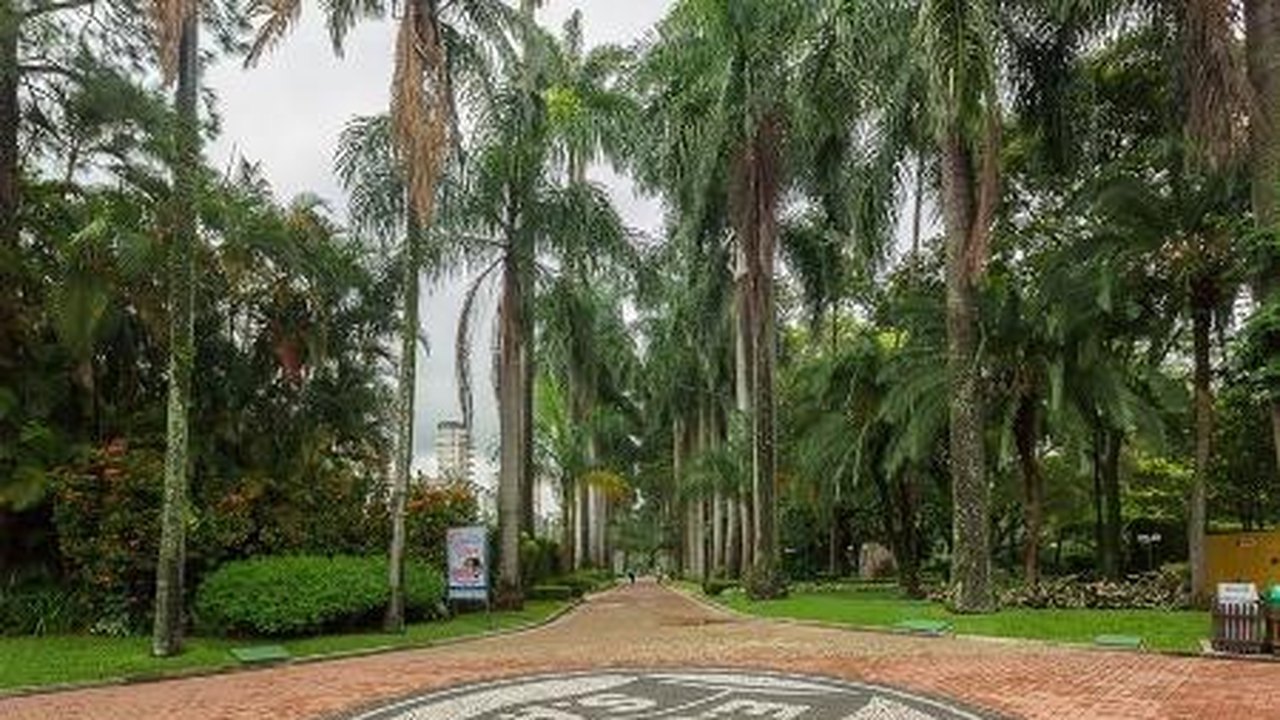 Auditoria interna aponta problemas no tratamento a atletas no Pinheiros