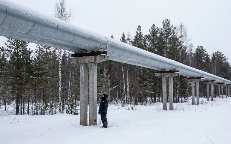 Homem escapa de ataque de urso na Rússia ao subir em duto de aquecimento