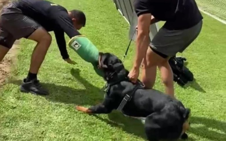 Polícia Militar realiza treinamento para conter invasões de campo em Arapiraca