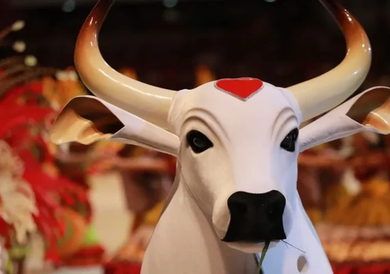No primeiro dia do Festival de Parintins, veja os famosos que torcem para o Boi Garantido e o Boi Caprichoso