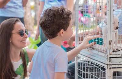 Gabinete da Causa Animal e Vigilância de Zoonoses promovem Feira de Adoção na Rua Aberta no domingo (27)