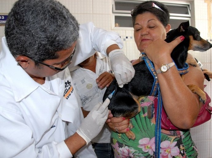 Sesau e municípios iniciam campanha de vacinação antirrábica na segunda