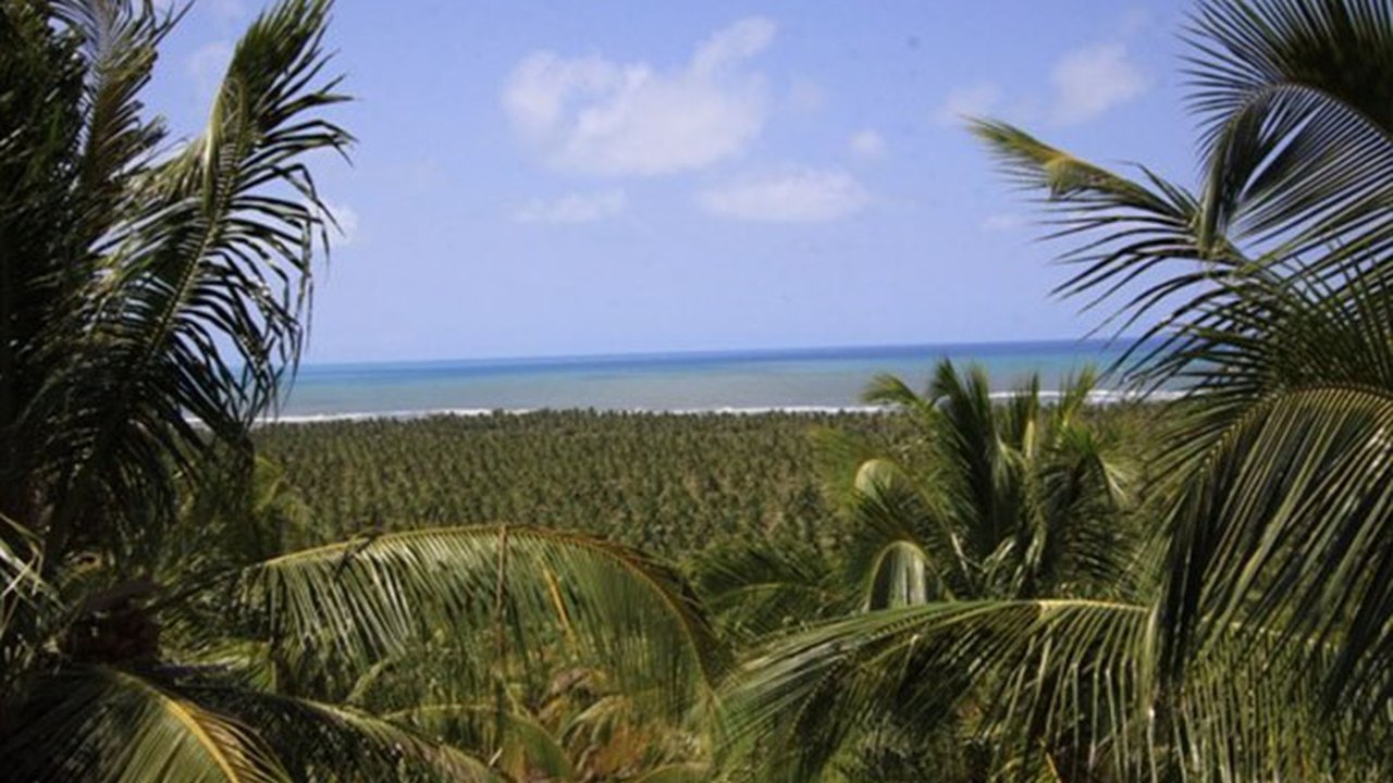 Praia do Gunga: Clinica Tecnológica reúne empresários do turismo