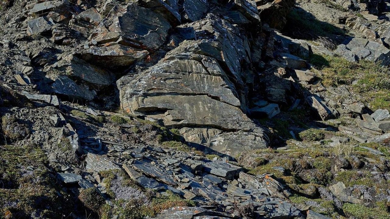 Segredos do Ártico: no norte da Rússia, são encontrados 31 petróglifos desconhecidos