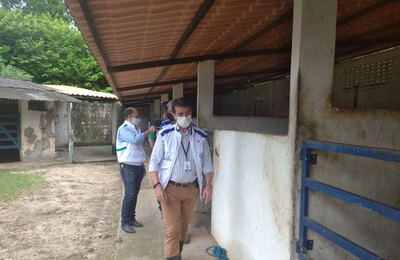Vigilância Sanitária notifica haras em Maceió com irregularidades na criação dos animais