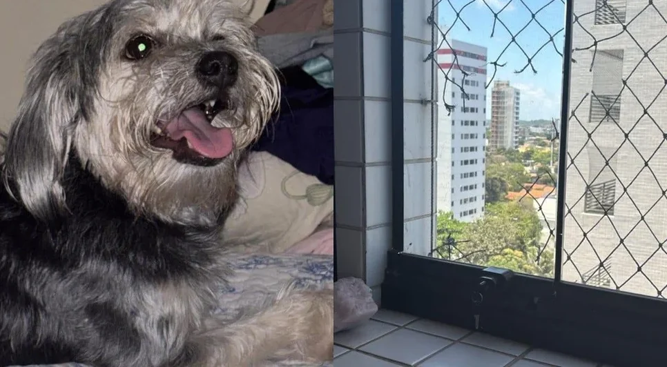 Lis morreu após uma suspeita de queda do nono andar de um prédio em Olinda. - Foto: Reprodução
